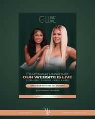 3 Email Newsletters