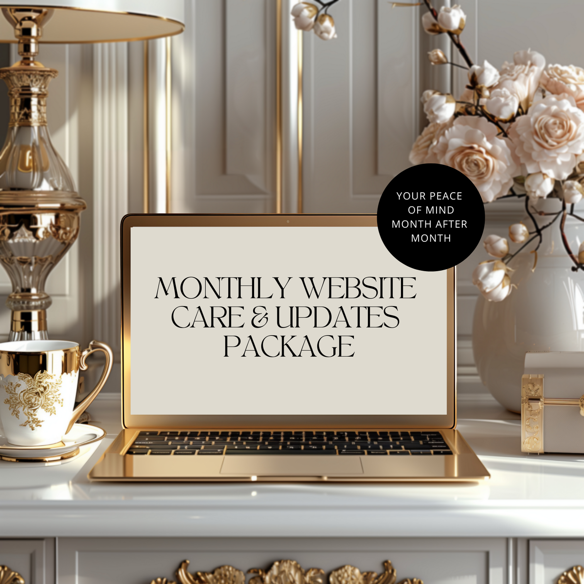 Monthly Website Care & Updates Package